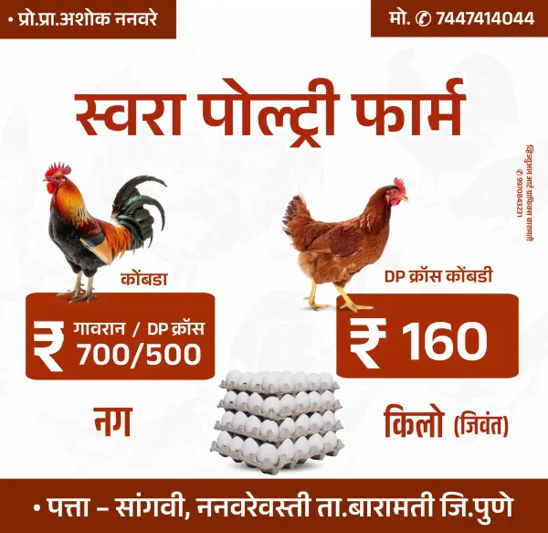 Poultry Farm Banner Design Pixellab PLP File 2025 Marathi Designs
